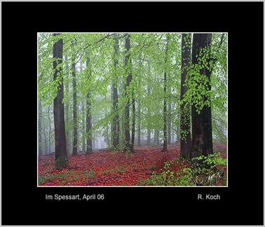 im_spessart